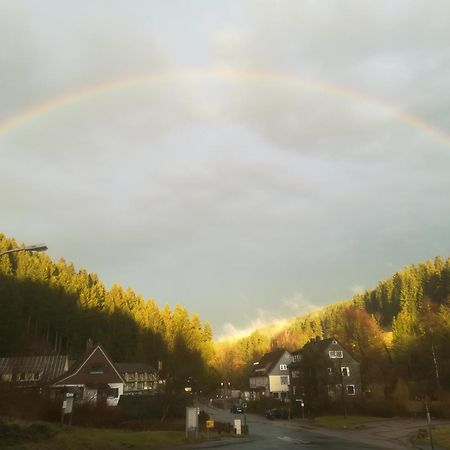 Ferienwohnung Sonnenhuegel Wildemann Bagian luar foto