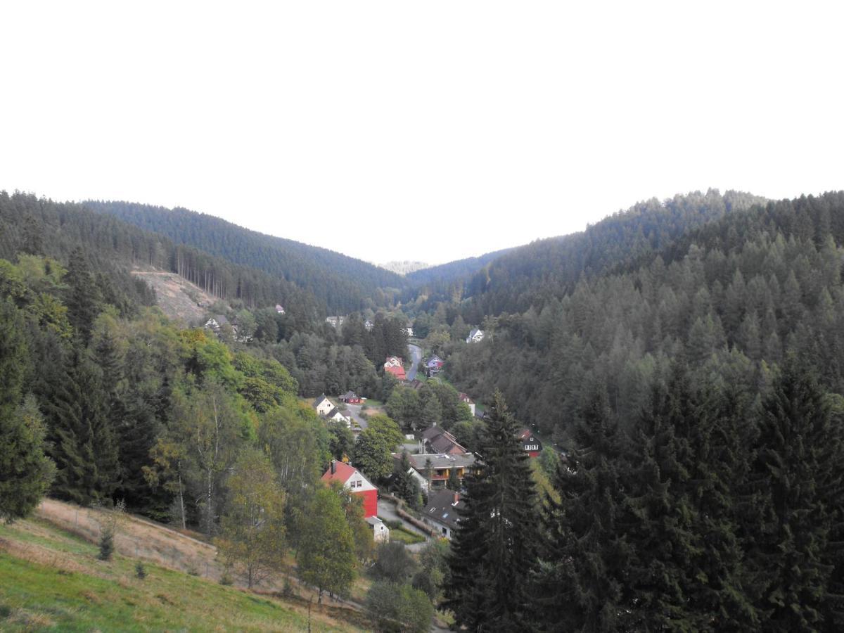 Ferienwohnung Sonnenhuegel Wildemann Bagian luar foto