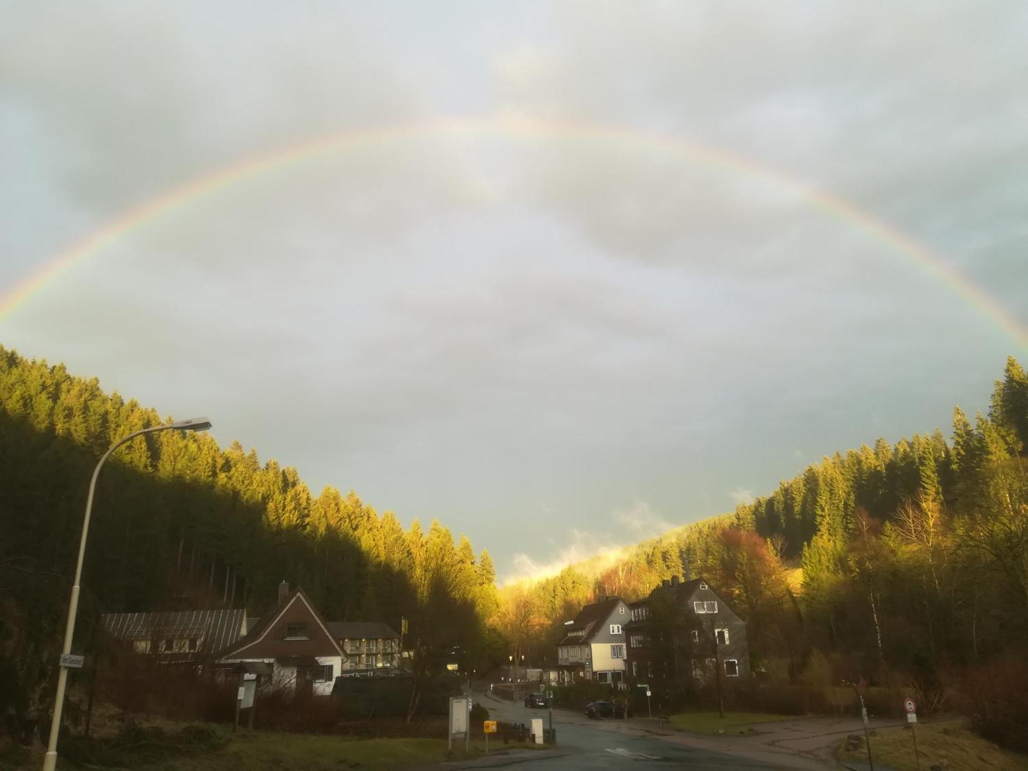 Ferienwohnung Sonnenhuegel Wildemann Bagian luar foto