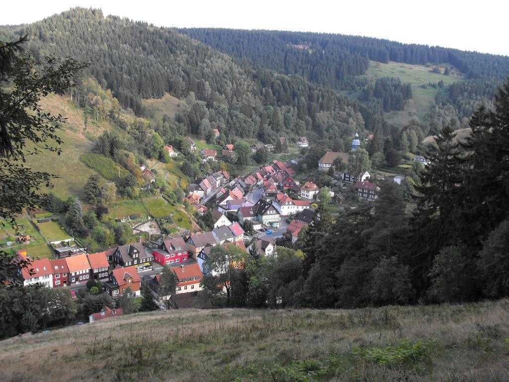 Ferienwohnung Sonnenhuegel Wildemann Bagian luar foto