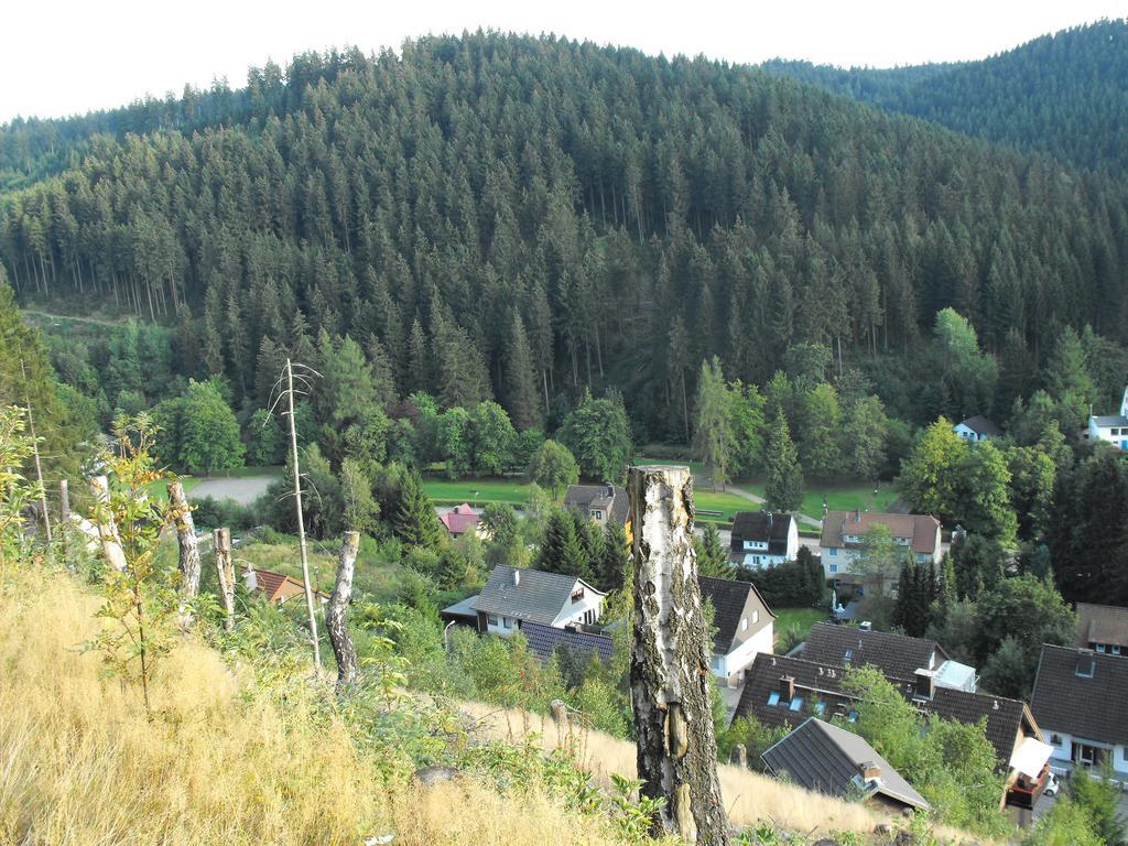 Ferienwohnung Sonnenhuegel Wildemann Bagian luar foto