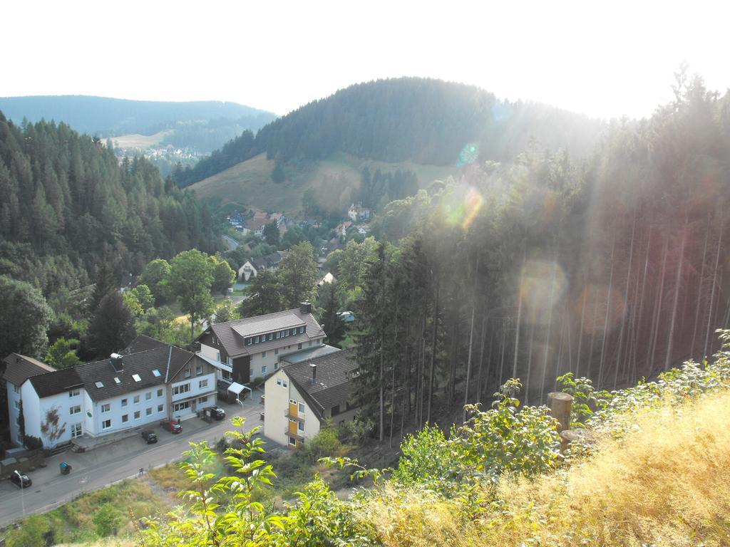 Ferienwohnung Sonnenhuegel Wildemann Bagian luar foto