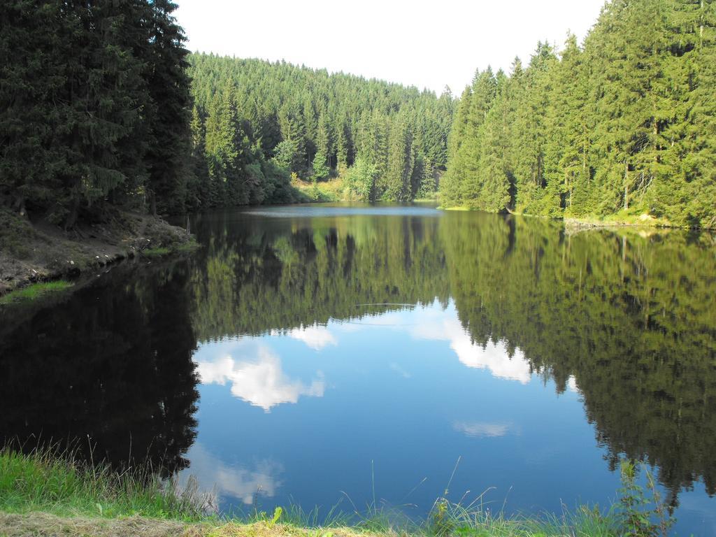 Ferienwohnung Sonnenhuegel Wildemann Bagian luar foto
