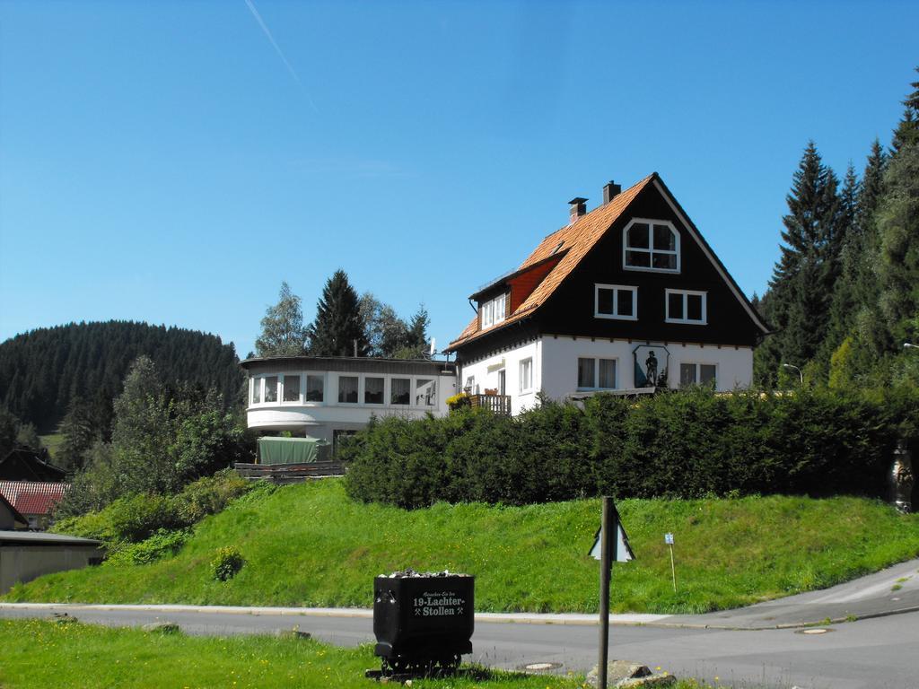 Ferienwohnung Sonnenhuegel Wildemann Bagian luar foto