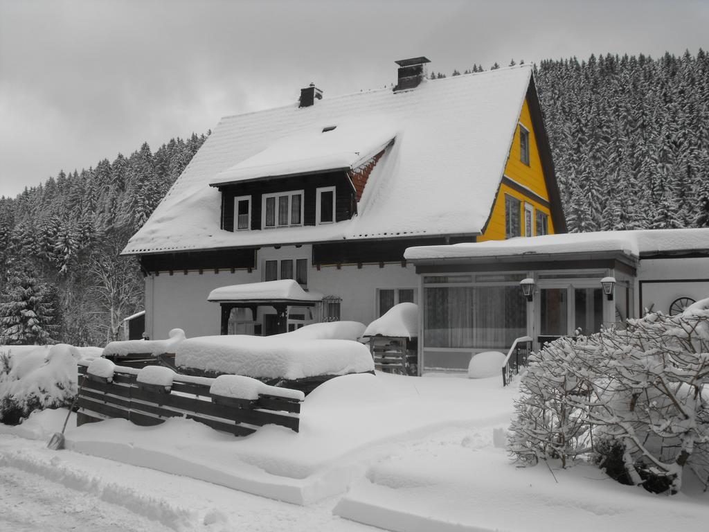 Ferienwohnung Sonnenhuegel Wildemann Bagian luar foto