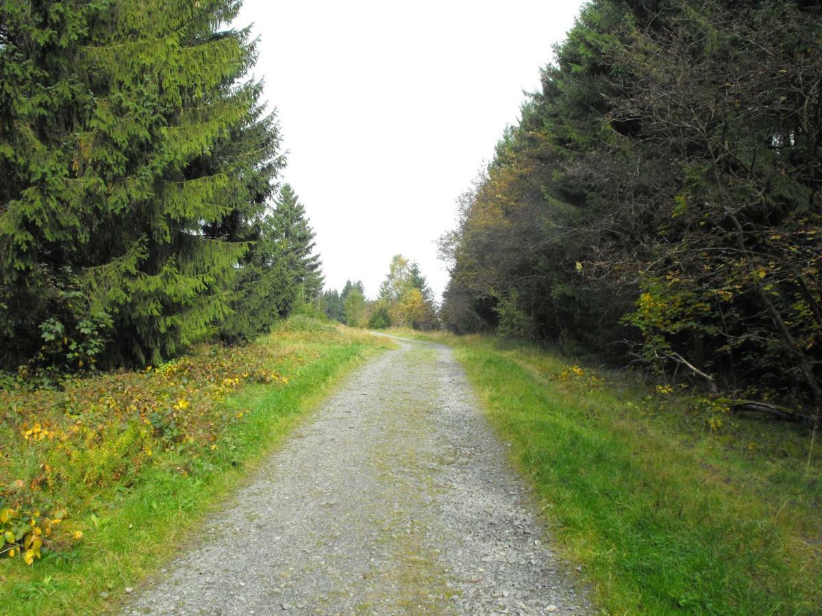 Ferienwohnung Sonnenhuegel Wildemann Bagian luar foto