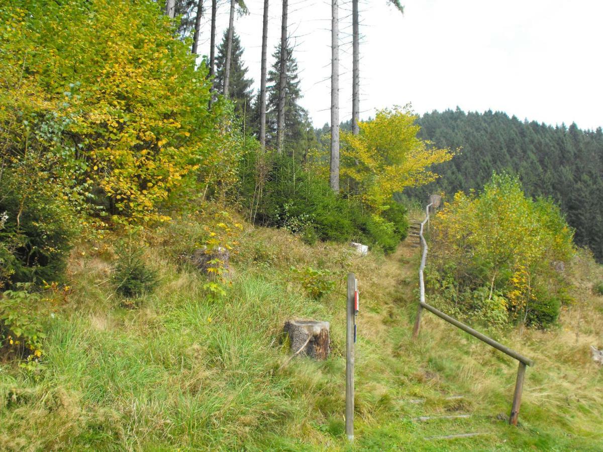 Ferienwohnung Sonnenhuegel Wildemann Bagian luar foto