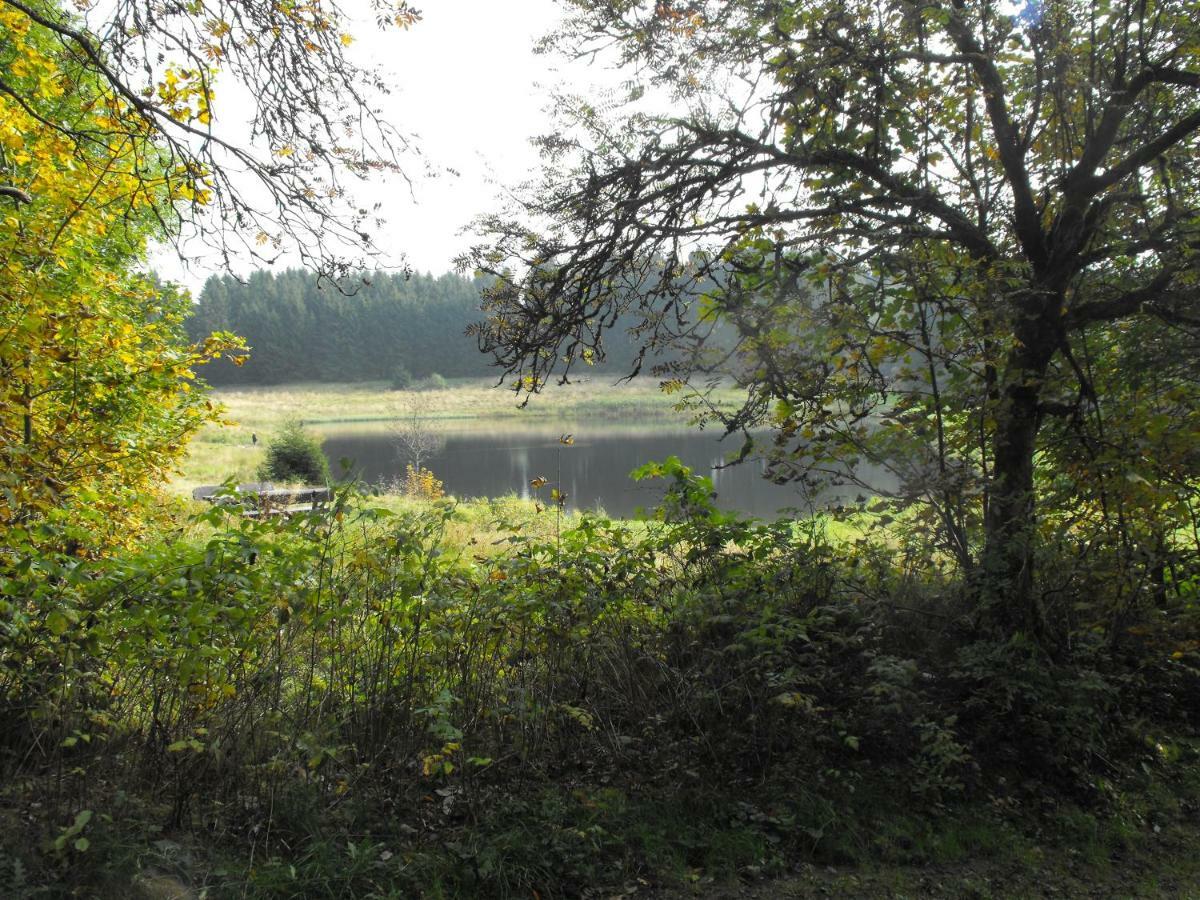 Ferienwohnung Sonnenhuegel Wildemann Bagian luar foto